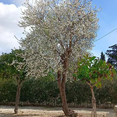 Apartment Gelsomino Siracusa